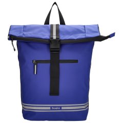 Beagles Bicycle Originals 24083 Cobalt