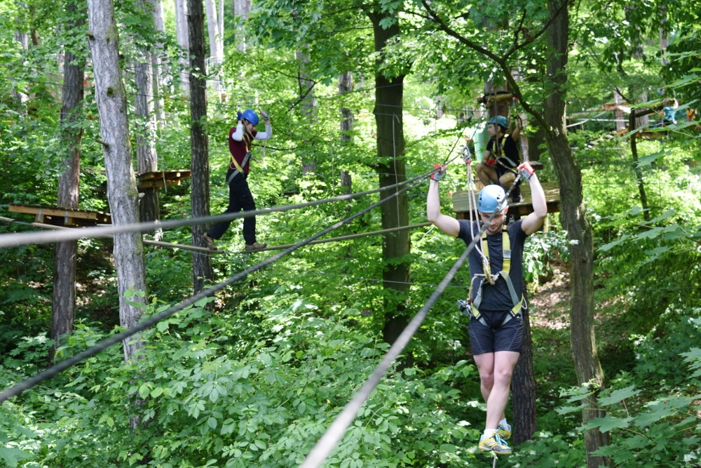 Junglepark_teambuilding