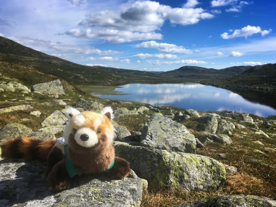 Ekspedicija Norway - krajolik