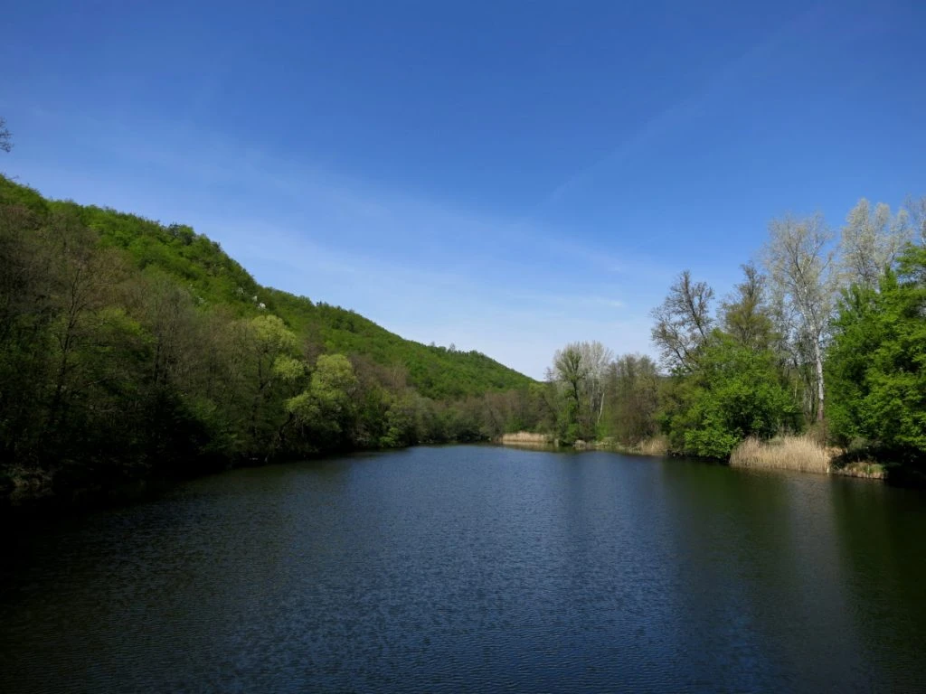 Pogled na rijeku Dyje