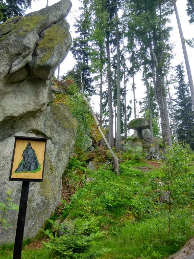 Šumava - Medvjeđa staza